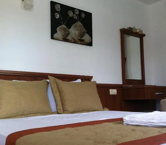 호텔 Capraz Holiday 보즈자아다