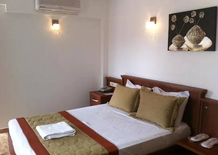 호텔 Capraz Holiday 보즈자아다