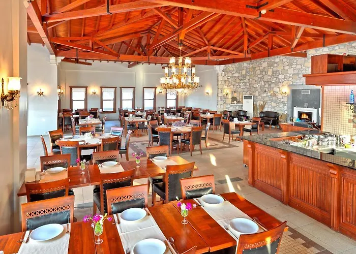 호텔 Capraz Holiday 보즈자아다