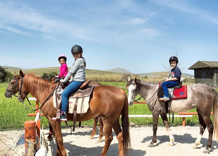 Capraz Holiday * 보즈자아다