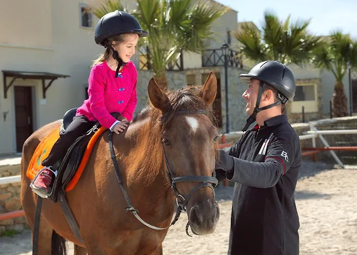 호텔 Capraz Holiday 보즈자아다